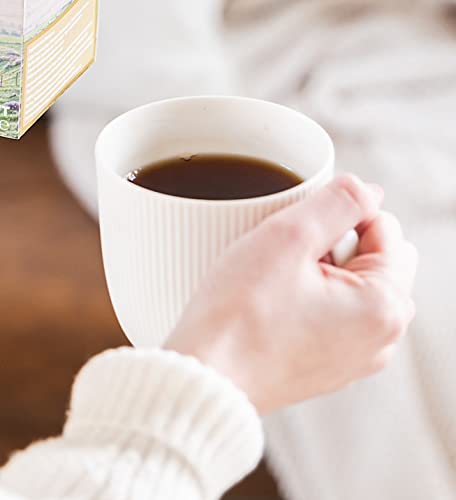 Taylors of Harrogate Yorkshire Gold, 160 Teabags by Taylors of Harrogate