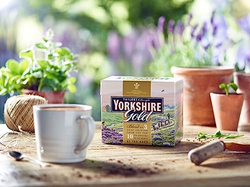 Taylors of Harrogate Yorkshire Gold, 160 Teabags by Taylors of Harrogate