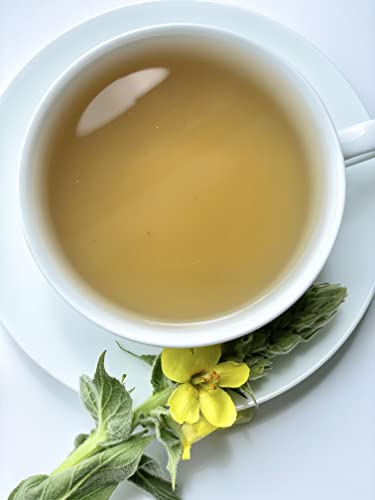 Mullein Leaf Tea - Pure Herbal Tea Series by Palm Beach Herbal Tea Company (30 Tea Bags) 100% Natural by Palm Beach Medicinal Herbs