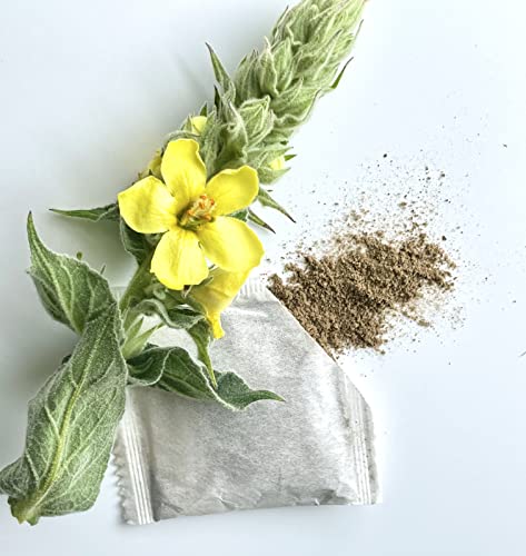 Mullein Leaf Tea - Pure Herbal Tea Series by Palm Beach Herbal Tea Company (30 Tea Bags) 100% Natural by Palm Beach Medicinal Herbs