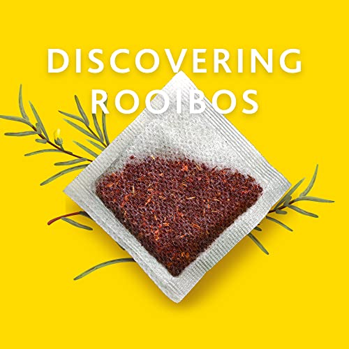 Freshpak Pure Rooibos Tea 80 Tagless Bags, Pure Rooibos and No Rooibos Infusion, New Packaging (2 X Pack) by AVI
