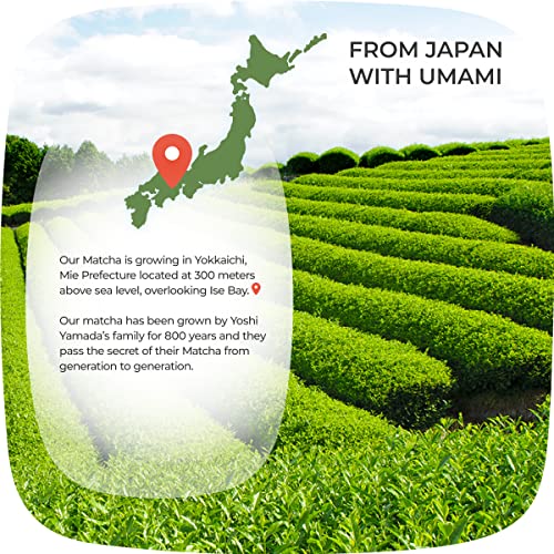 AprikaLife Organic Japanese Matcha Green Tea Powder â USDA & JAS Organic - Authentic Japanese Origin - Premium Culinary Grade - [100g Value Size] by 