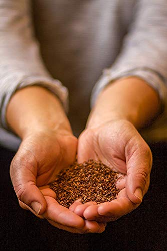 Golden Moon Organic Rooibos (192 Servings) Loose Leaf Long Cut Tea by Golden Moon Tea