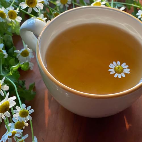 Bigelow Cozy Chamomile Herbal Tea, 100 Count Box Caffeine Free Herbal Tea by Bigelow
