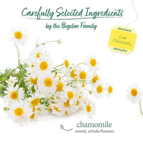 Bigelow Cozy Chamomile Herbal Tea, 100 Count Box Caffeine Free Herbal Tea by Bigelow