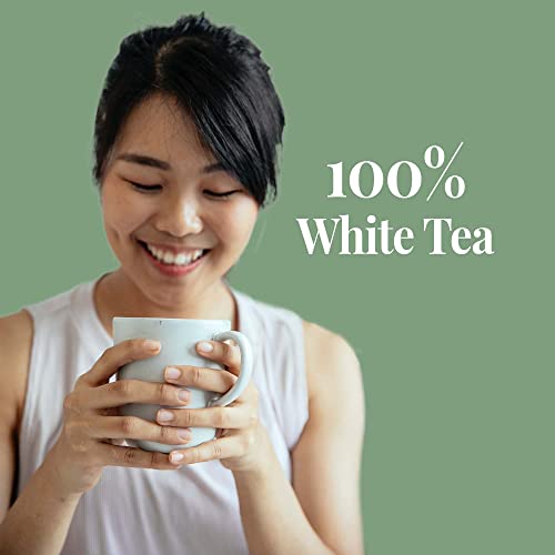The REPUBLIC of TEA Emperor's 100% White Tea, Zero Calorie, Sugar-Free, Carb-Free, 50 Tea Bag Tin by The Republic of Tea