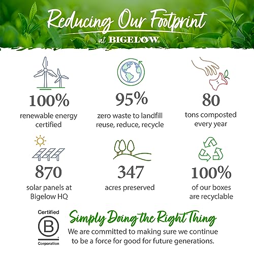 Bigelow Tea Benefits Wellness Teabag Variety Pack, Mixed Caffeinated Green Matcha & Caffeine-Free Herbal Tea, 18 Count Box (Pack of 6) 108 Tea Bags Total from AmazonUs/RCBC9