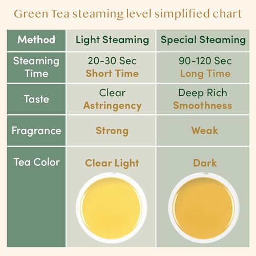 VAHDAM, Himalayan Green Tea Leaves (50+ Cups) I 100% NATURAL Green Tea I POWERFUL ANTIOXIDANTS I Best for Detox I Kombucha Tea I Pure Green Tea Loose-Leaf, 3.53 oz from Vahdam