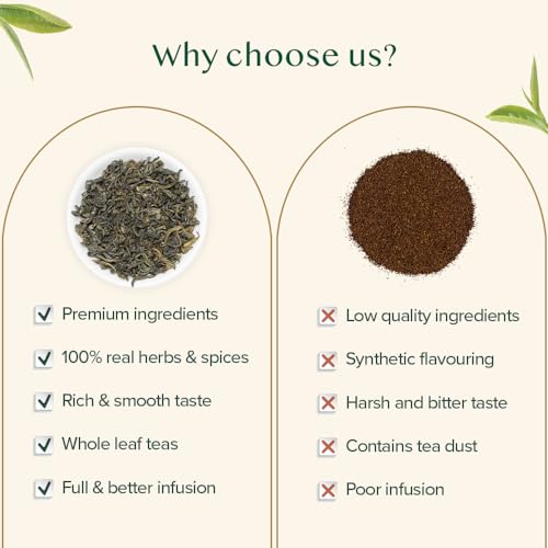 VAHDAM, Himalayan Green Tea Leaves (50+ Cups) I 100% NATURAL Green Tea I POWERFUL ANTIOXIDANTS I Best for Detox I Kombucha Tea I Pure Green Tea Loose-Leaf, 3.53 oz from Vahdam