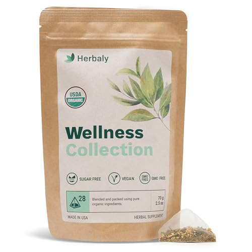 Herbaly Wellness Collection Organic Herbal Ginger Tea, 70 g, 28 Count Bag (Pack of 1) from Herbaly Marketplace Inc.