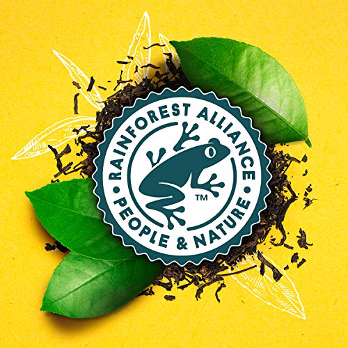 Lipton Iced Tea K-Cups for Keurig Brewers Unsweetened Sugar Free 12 pods 6 count by Unilever