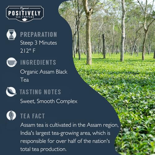 Organic Positively Tea Company, Assam TGFOP Black Tea, Loose Leaf, 16 Ounce from Organic Positively Tea Company