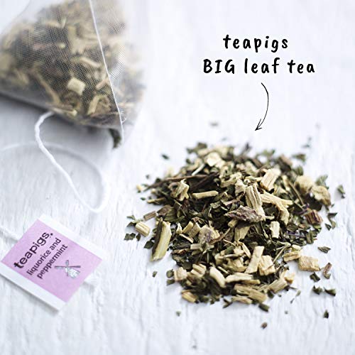 teapigs Liquorice and Peppermint Tea Bags Made With Whole Leaves, 50 Count, Sweet, liquorice, mint (5422) by teapigs