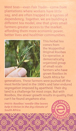 Equal Exchange Organic Vanilla Rooibos Tea, 20-Count (Pack of 3) by Equal Exchange