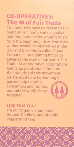 Equal Exchange Organic Vanilla Rooibos Tea, 20-Count (Pack of 3) by Equal Exchange