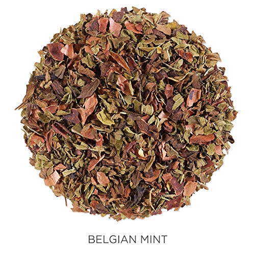 Tea Forte Organic Herbal Tea, Makes 35-50 Cups, 2.12 Ounce Loose Leaf Tea Canister, Belgian Mint by 