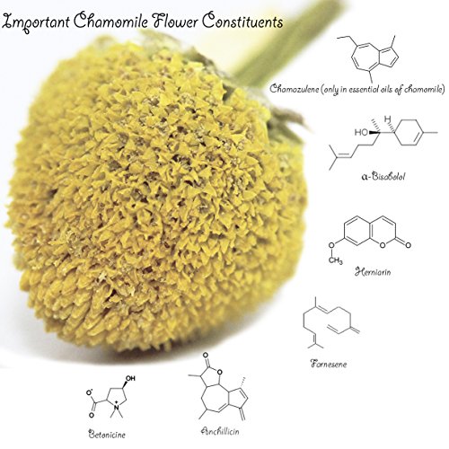 Chamomile Tea 1LB (16Oz) 100% CERTIFIED Organic (USDA seal) Chamomile Flowers Herbal Tea (Matricaria Chamomilla) in 1 lb Bulk Kraft BPA free Resealable Bags from U.S. Wellness from U.S. Wellness LLC