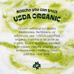 MatchaDNA Organic Culinary Matcha Green Tea Powder 16 oz by matchaDNA