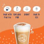 Big Train Spiced Chai Tea Latte Instant Powdered Mix, 1.9 Pound from Big Train