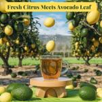 Lemon Avocado Leaf Tea | 8 Sachets
