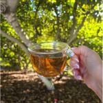 Lemon Avocado Leaf Tea | 8 Sachets