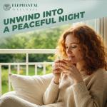 Elephantal Wellness Sleep Herbal Tea Blend