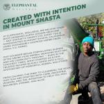 Elephantal Wellness Herbal Tea for Comfort & Mobility