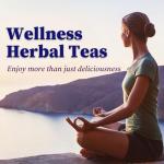 FullChea Blueberry Herbal Tea Bags, 50 Count