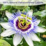 Passion Flower Tea Bags for Relaxation & Sleep