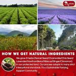 Herbal Heart Tea - 40 Caffeine-Free Tea Bags