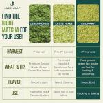 Jade Leaf Organic Matcha Green Tea Powder - Authentic Japanese Origin - Premium Second Harvest Culinary Grade (1.06 Ounce) from Jade Leaf, LLC