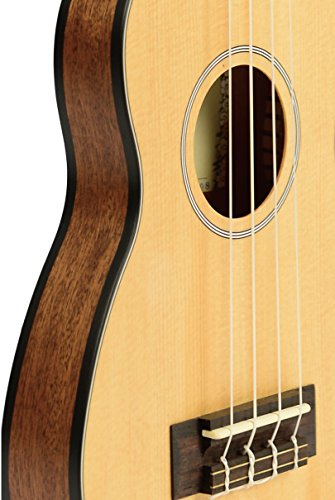 Kala KA-SSTU-C Concert Travel Ukulele from Kala