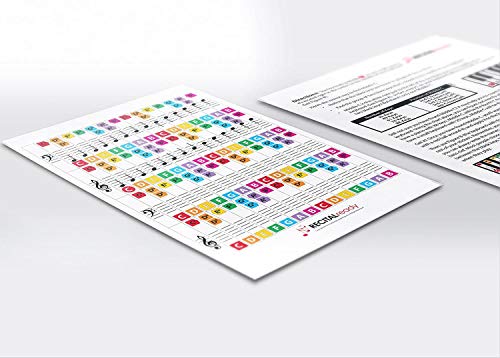 Best Adhesive Piano Key Note Keyboard Stickers for Adults & Children's Lessons, FREE E-BOOK, Great for Beginners Sheet Music Books, Recommended by Teachers to Learn to Play Keys & Notes Faster by Recital Ready