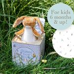 Nutbrown Hare Jack-in-the-Box for Kids