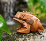 BSIRI 5" Wooden Frog Rasp - Musical instruments of Africa Frog Rasp Super Guiro Percussion Frog Wood Block Instrument of Frog Noise Maker Cool Music Gifts Ideas Fun Instruments for Adults and Kids
