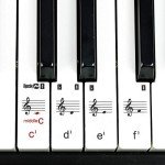 RockJam 61 Key Keyboard Piano Stand With Pitch Bend Kit, Piano Bench, Headphones, Simply Piano App & Keynote Stickers