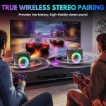 Karaoke Machine with 2 Wireless Microphones, Portable Bluetooth 5.3 Karaoke Speaker with Upgraded Subwoofer for Adults, PA System with Echo Adjustment, Support TWS/TF Card/USB/AUX/Live