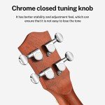 Donner Banjolele 4 String Banjo Ukulele kit Stringed Musical Instruments for Adult Beginner with Banjo Tuners, Gig Bag, Picks, Skeleton 23 Inch Sapele