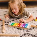 Melissa & Doug Deluxe Band Set With Wooden Musical Instruments and Storage Case