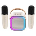 Bluetooth Karaoke Machine with Wireless Microphones for Kids