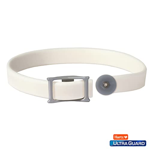 Hartz UltraGuard Flea & Tick Collar for Cats and Kittens, 7 Month Flea and Tick Protection and Prevention, White from Hartz
