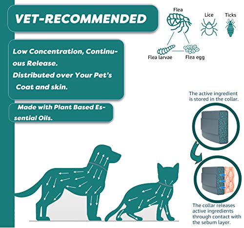 Flea and Tick Collar for Cat, Made with Natural Plant Based Essential Oil, Safe and Effective Repels Fleas and Ticks, Waterproof, 12 Months Protection, 13.8 in (2 Packs) from Taom LLC