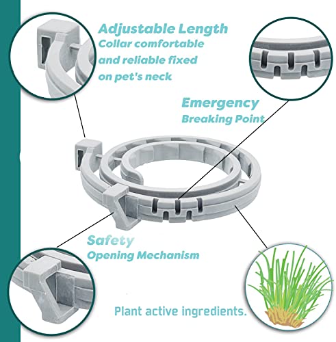 Flea and Tick Collar for Cat, Made with Natural Plant Based Essential Oil, Safe and Effective Repels Fleas and Ticks, Waterproof, 12 Months Protection, 13.8 in (2 Packs) from Taom LLC