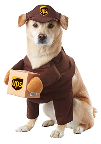 Pets Halloween