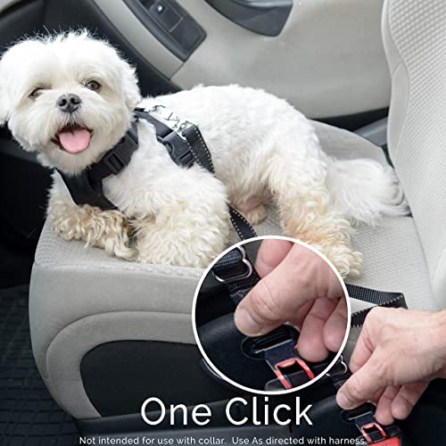 Dog Seat Belt Pet Dog Cat Car Seatbelt Safety Tether - 2 Pack - Adjustable Harness Belts Pet Leash - Heavy Duty Nylon Seatbelts - Universal Fit Cars Truck SUV by Duke & Dixie