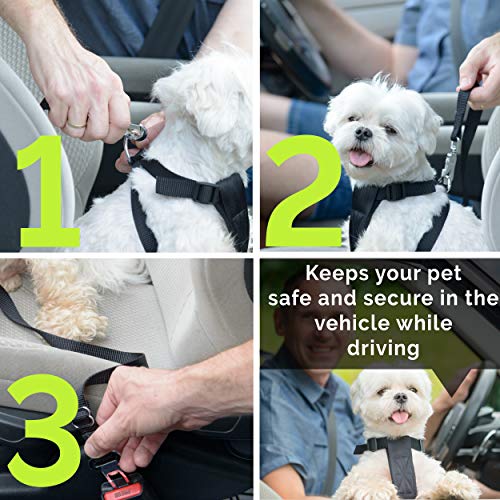 Dog Seat Belt Pet Dog Cat Car Seatbelt Safety Tether - 2 Pack - Adjustable Harness Belts Pet Leash - Heavy Duty Nylon Seatbelts - Universal Fit Cars Truck SUV by Duke & Dixie