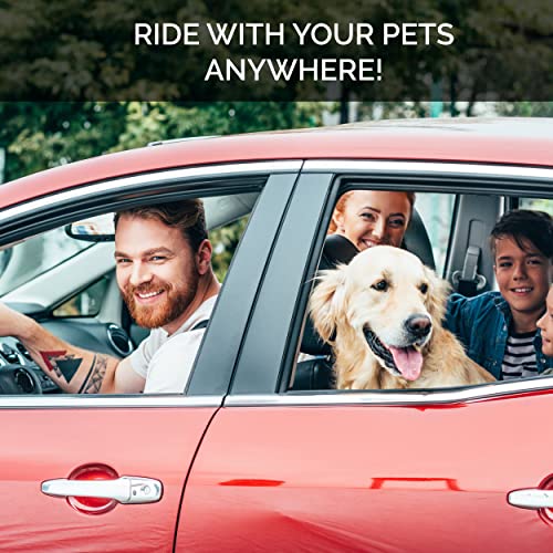 Dog Seat Belt Pet Dog Cat Car Seatbelt Safety Tether - 2 Pack - Adjustable Harness Belts Pet Leash - Heavy Duty Nylon Seatbelts - Universal Fit Cars Truck SUV by Duke & Dixie