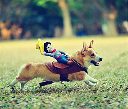 NACOCO Cowboy Rider Dog Costume for Dogs Clothes Knight Style with Doll and Hat for Halloween Day Pet Costume (L) from NACOCO