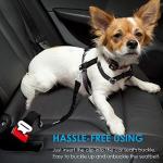 Adjustable Pet Safety Seat Belt - 2 Pack