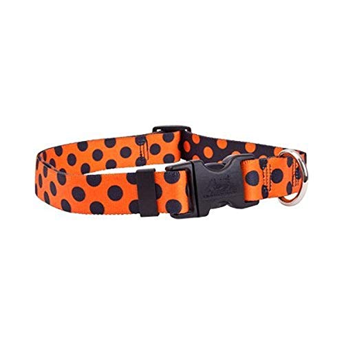 Halloween Polka Dot Dog Collar - Size Large 18" to 28" Long - Made In The USA by Yellow Dog Design